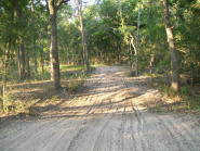 Track
